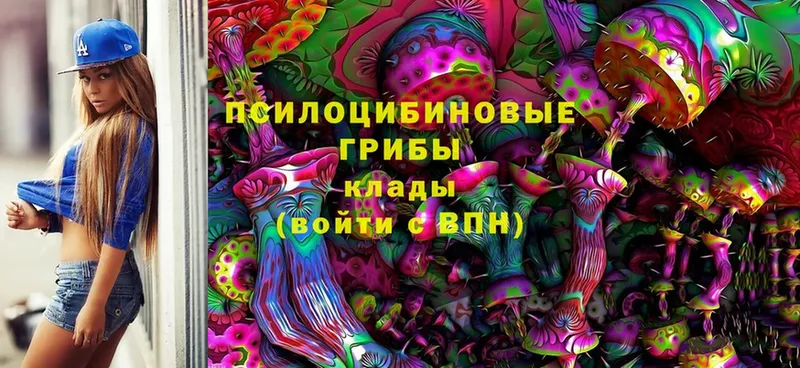 Галлюциногенные грибы Cubensis  закладка  Кашира 